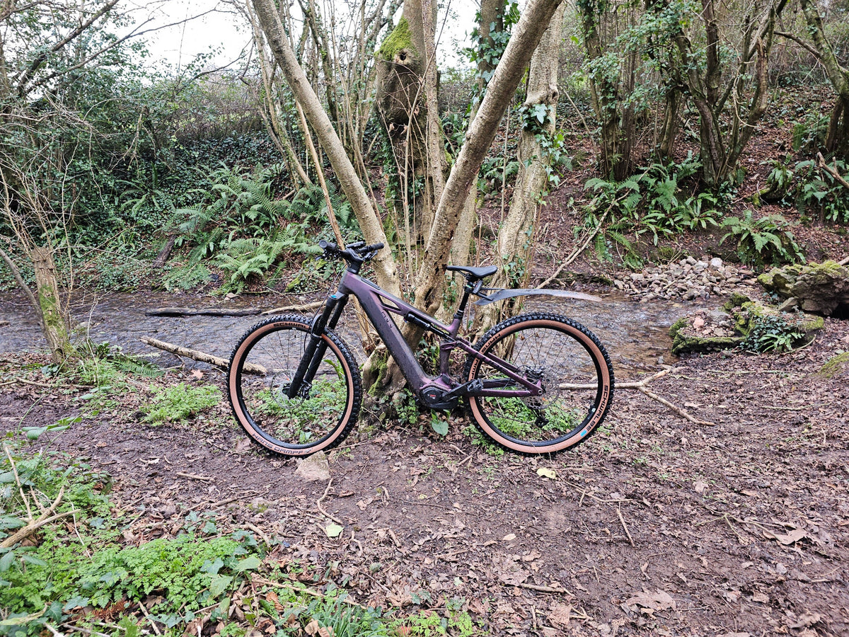[Generator Brand] [Model Submitted] [Variant Submitted] electric bike