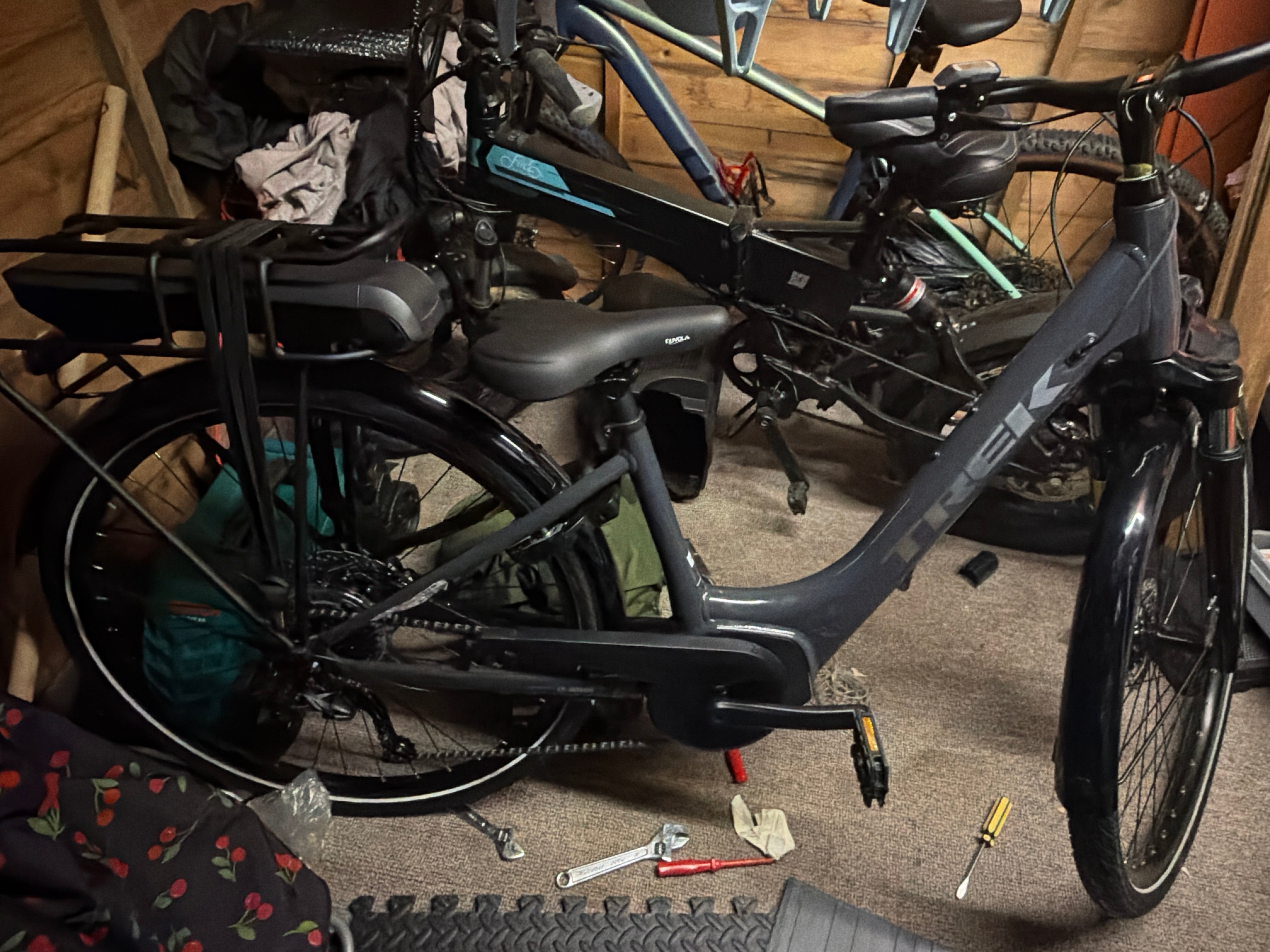 Trek Verve+1 Lowstep (2025)