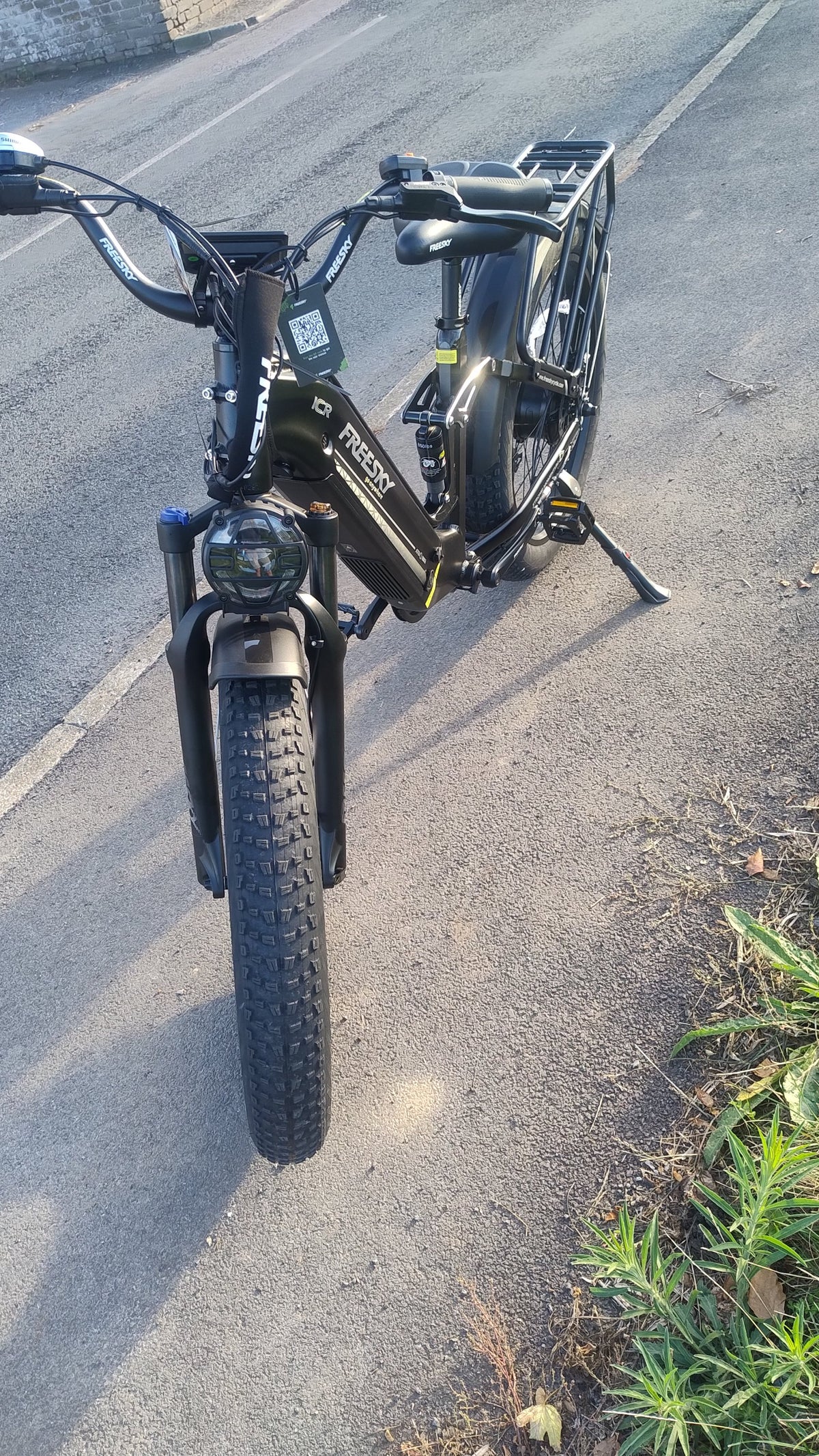 [Generator Brand] [Model Submitted] [Variant Submitted] electric bike