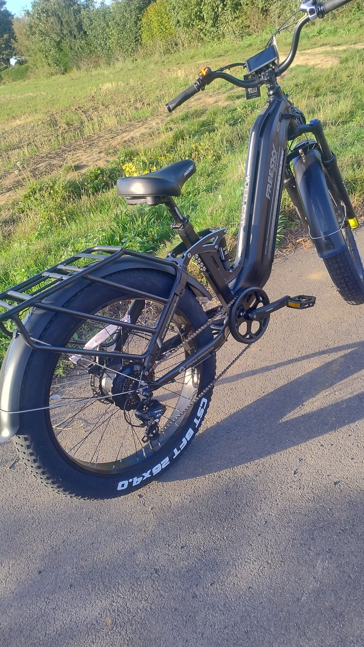 [Generator Brand] [Model Submitted] [Variant Submitted] electric bike