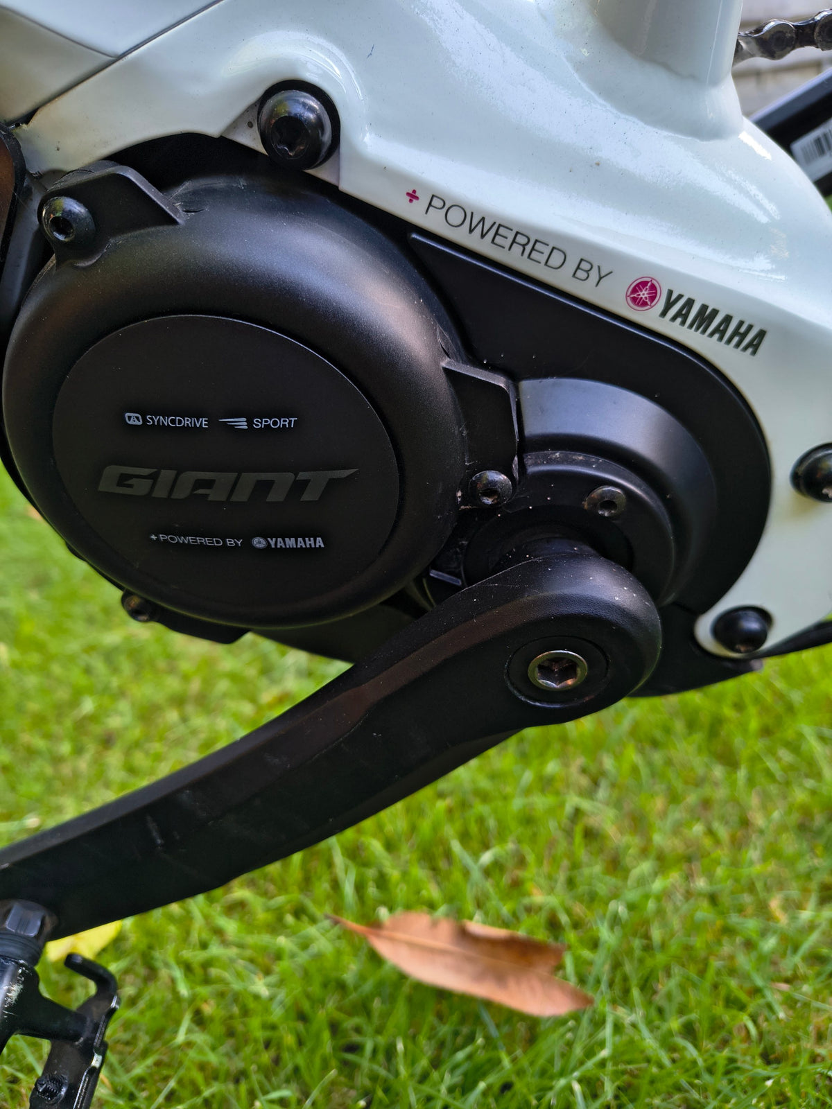 [Generator Brand] [Model Submitted] [Variant Submitted] electric bike